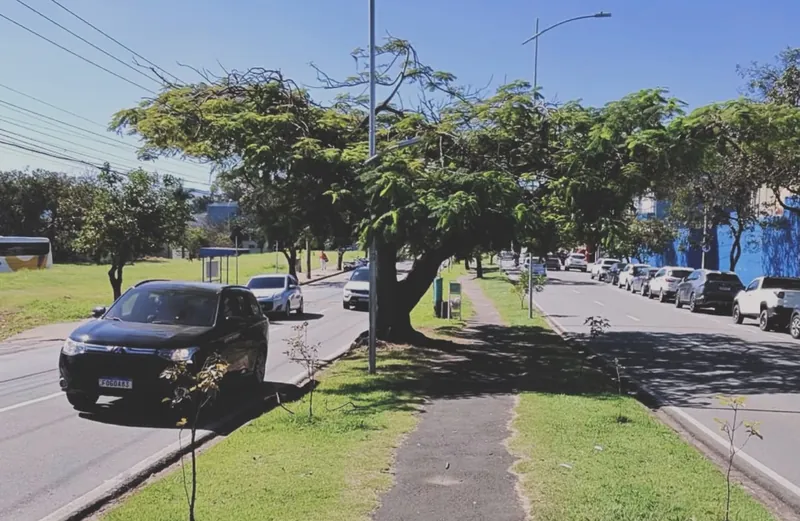 Av. Dr. Durval Nicolau de manhã, canteiro arborizado e céu azul